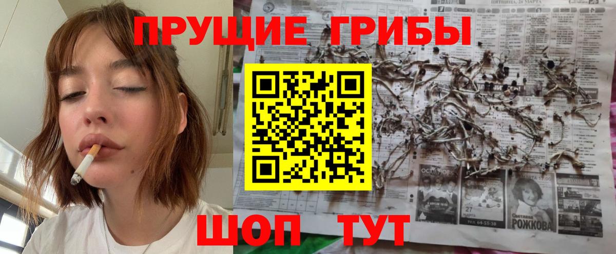Киров  Псилоцибиновые грибы MAGIC MUSHROOMS  Вход с VPN  Псилоцибиновые грибы Psilocybine cubensis 